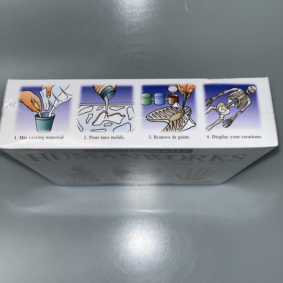 Human Works 18" Human Skeleton Hand On Learning Modeling Kit Eyewitness Kits NEW - Picture 4 of 6
